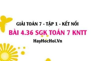 Bài 4.36 SGK Toán 7 tập 1 Kết nối tri thức